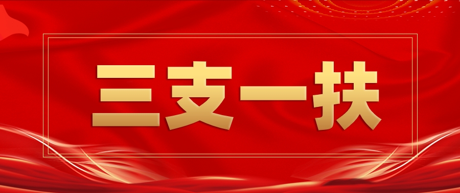 大梵公考：2024年山东省三支一扶出公告啦!